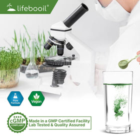 Poudre de chlorophylle Lifebooil vue de dos avec informations nutritionnelles