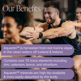 Poudre de citrate de magnésium Pure Micronutrients dans un verre d'eau