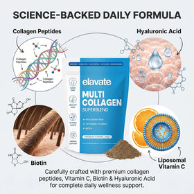 Poudre de collagène Elavate au chocolat 220g, présentation du produit