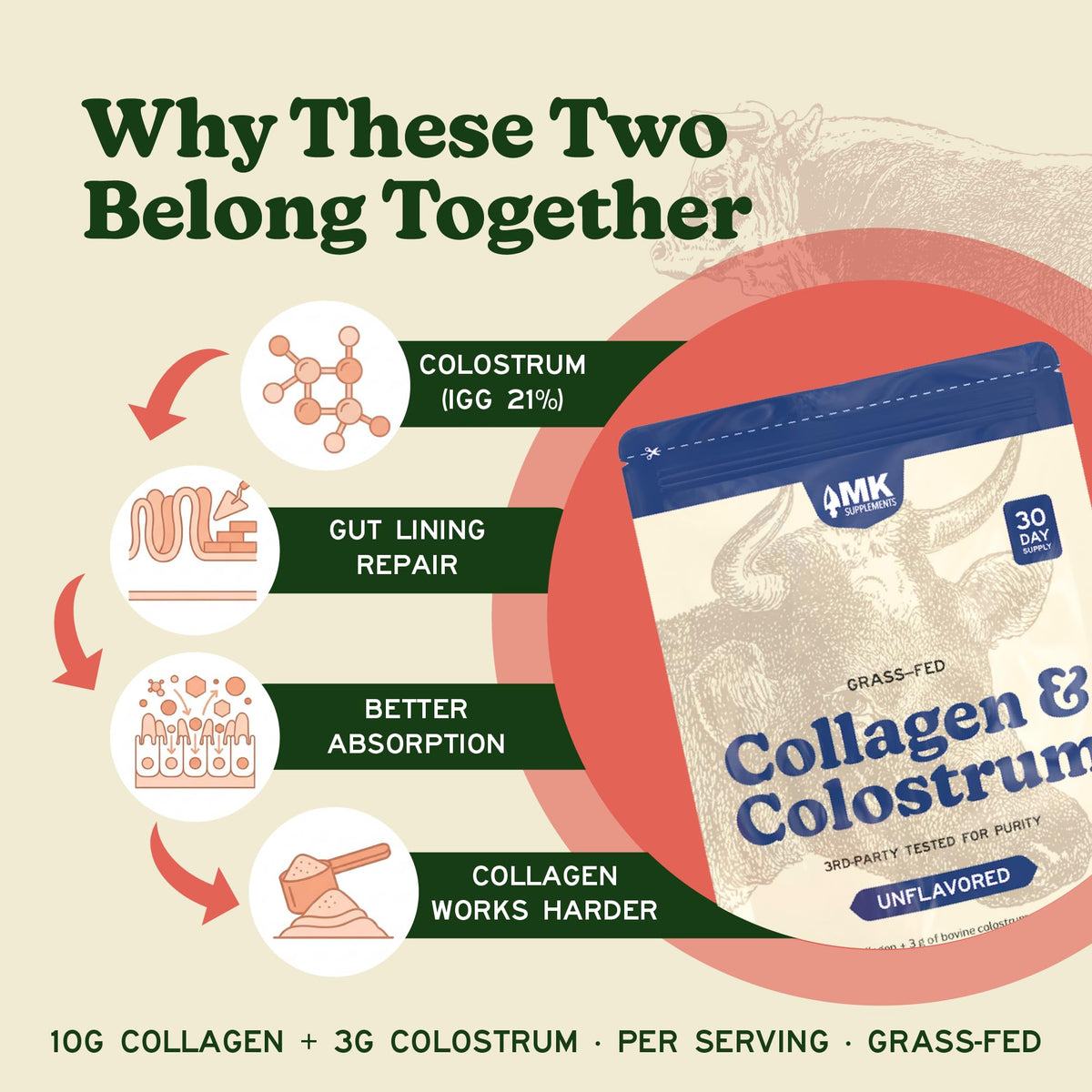 Poudre de collagène et colostrum MK Supplements dans un verre avec une cuillère