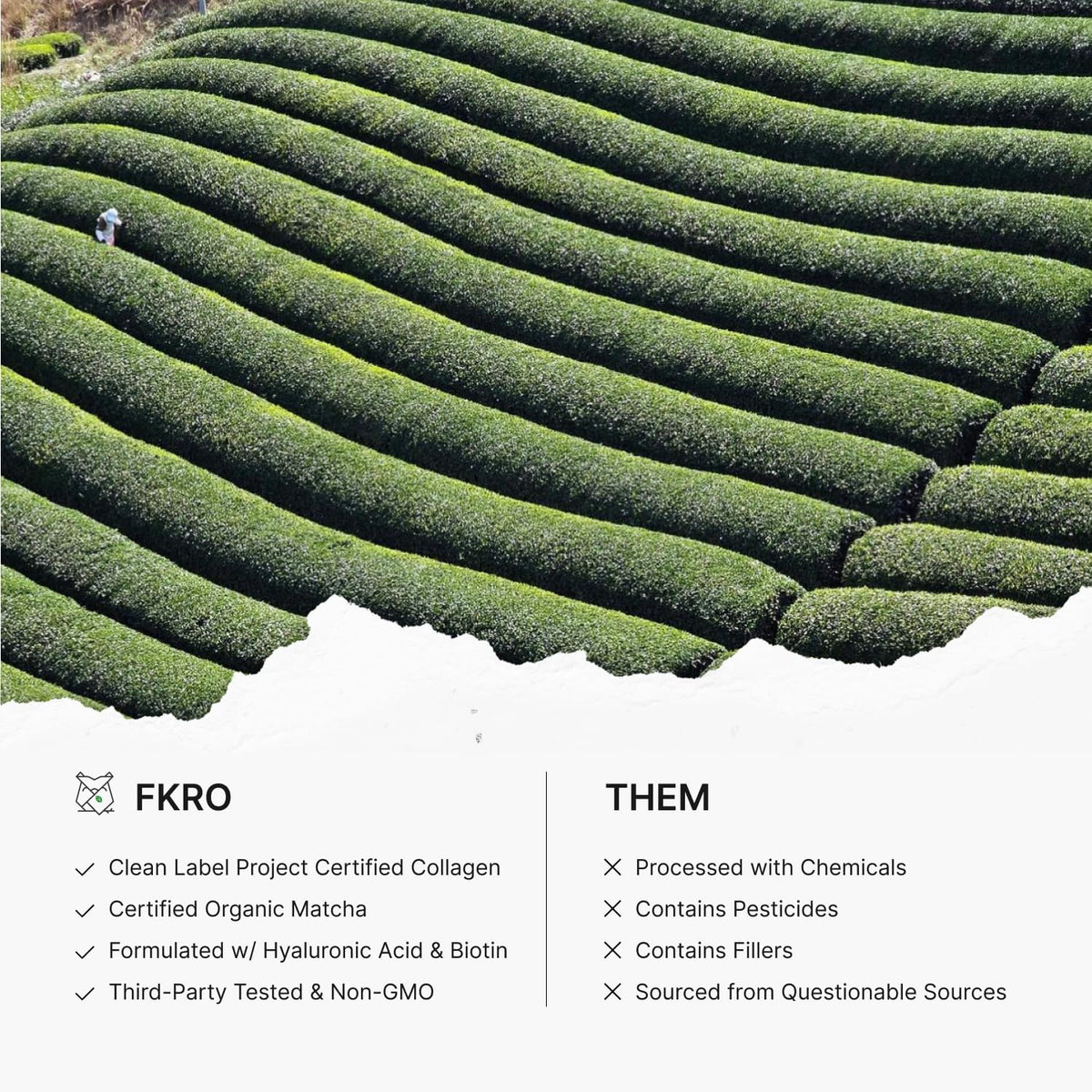 Poudre de collagène FKRO au matcha, vue arrière du paquet