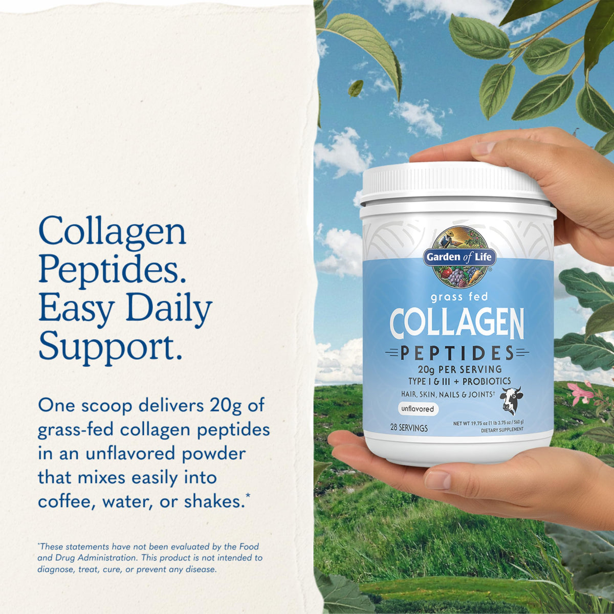 Poudre de collagène Garden of Life 720g avec un mélangeur