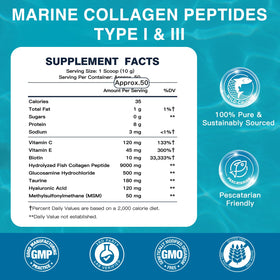 Poudre de collagène marin DRFOSTER avec cuillère incluse