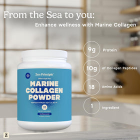 Poudre de collagène marin Zen Principle avec cuillère doseuse