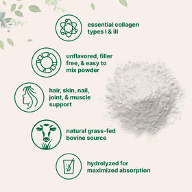 Poudre de collagène Micro Ingredients dans un bol