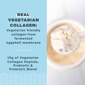Poudre de collagène végétalien Ancient Nutrition 372g vue arrière