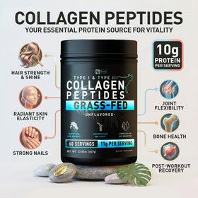 Poudre de collagène Zeal Naturals dans un smoothie