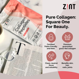 Poudre de collagène Zint sur une cuillère
