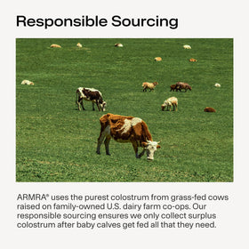Poudre de colostrum ARMRA Arctic Chai avec une cuillère