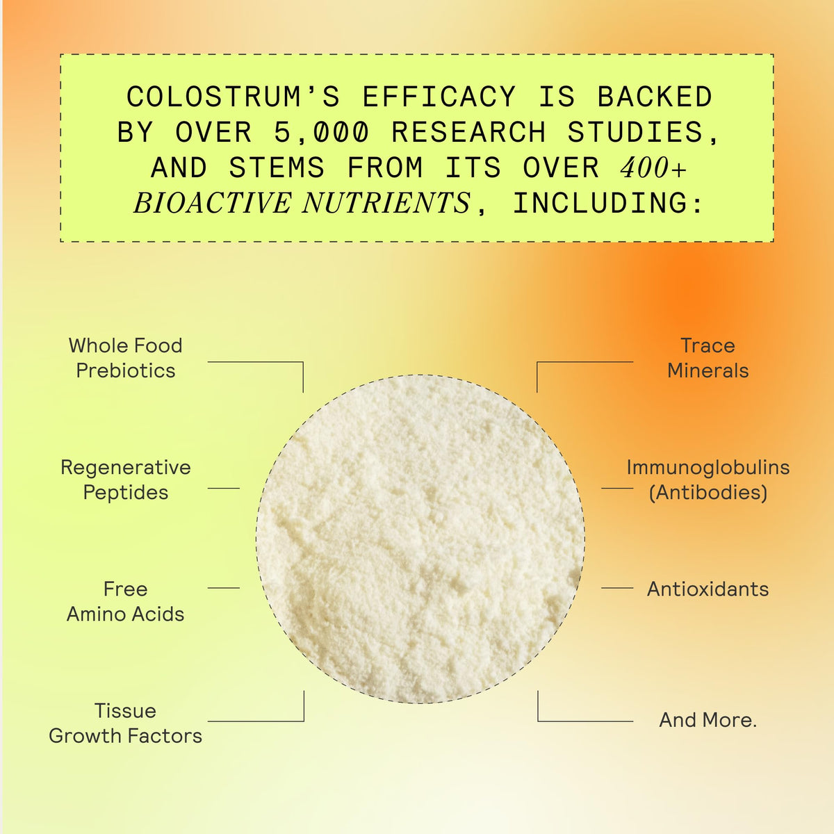 Poudre de Colostrum ARMRA, vue de dessus avec cuillère