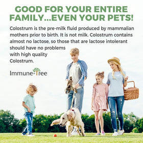 Poudre de colostrum bovin daily wellness-Tree à côté d'un verre d'eau