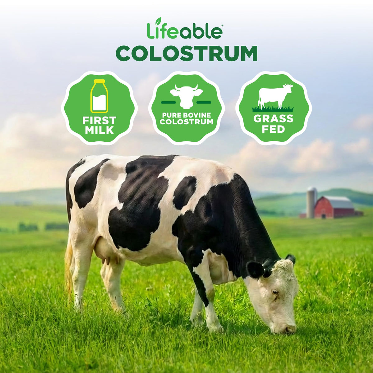Poudre de colostrum bovin Lifeable dans un smoothie