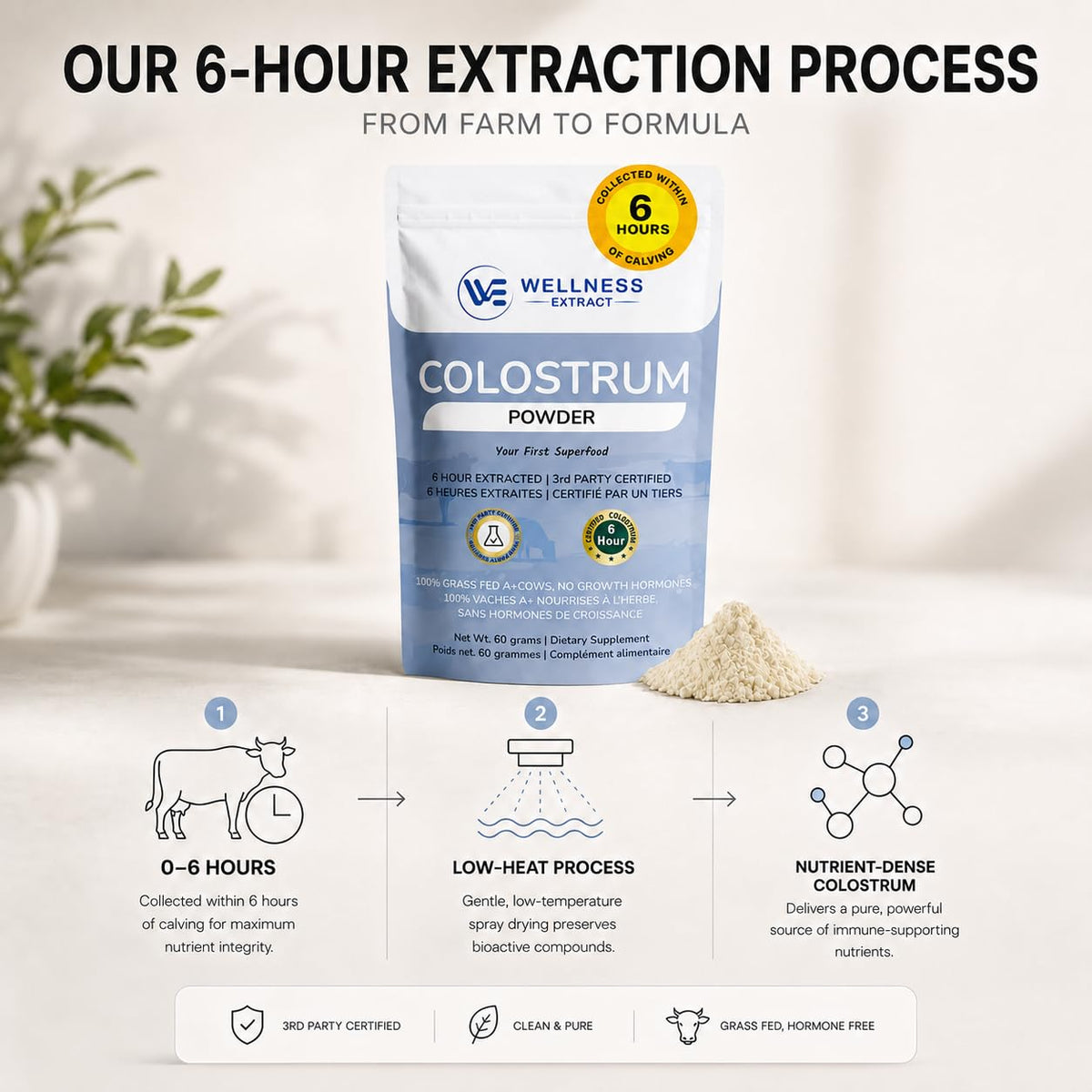 Poudre de colostrum bovin WELLNESS EXTRACT sur une table