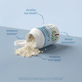 Poudre de colostrum daily wellness-Tree avec des ingrédients naturels