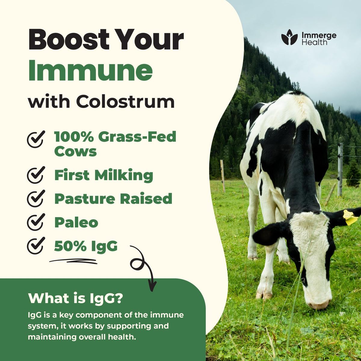 Poudre de colostrum Immerge Health ajoutée à un smoothie