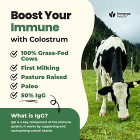 Poudre de colostrum Immerge Health ajoutée à un smoothie