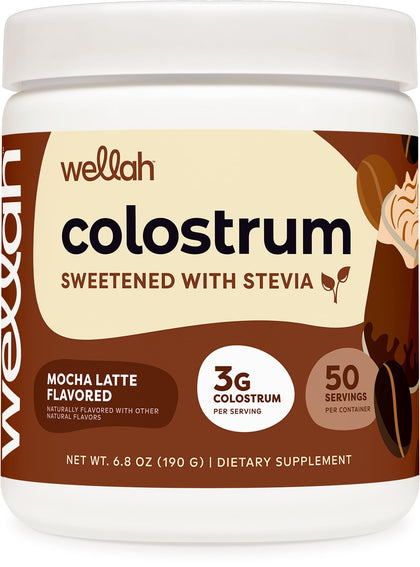 Poudre de colostrum Wellah Mocha Latte vue de face