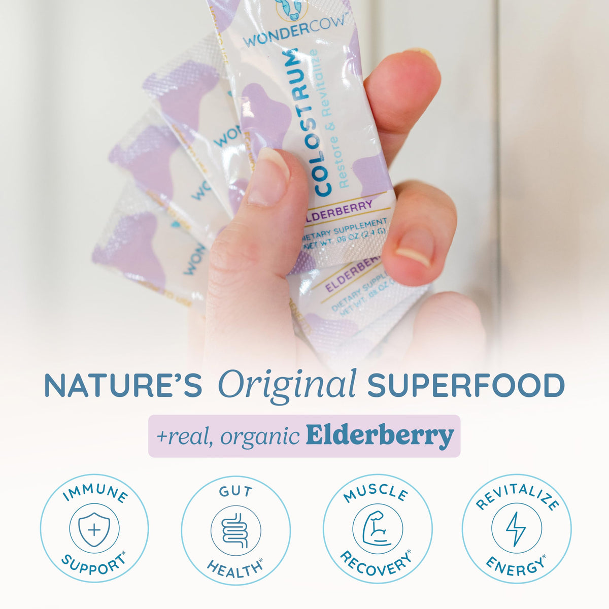 Poudre de colostrum WONDERCOW avec des fruits et un smoothie