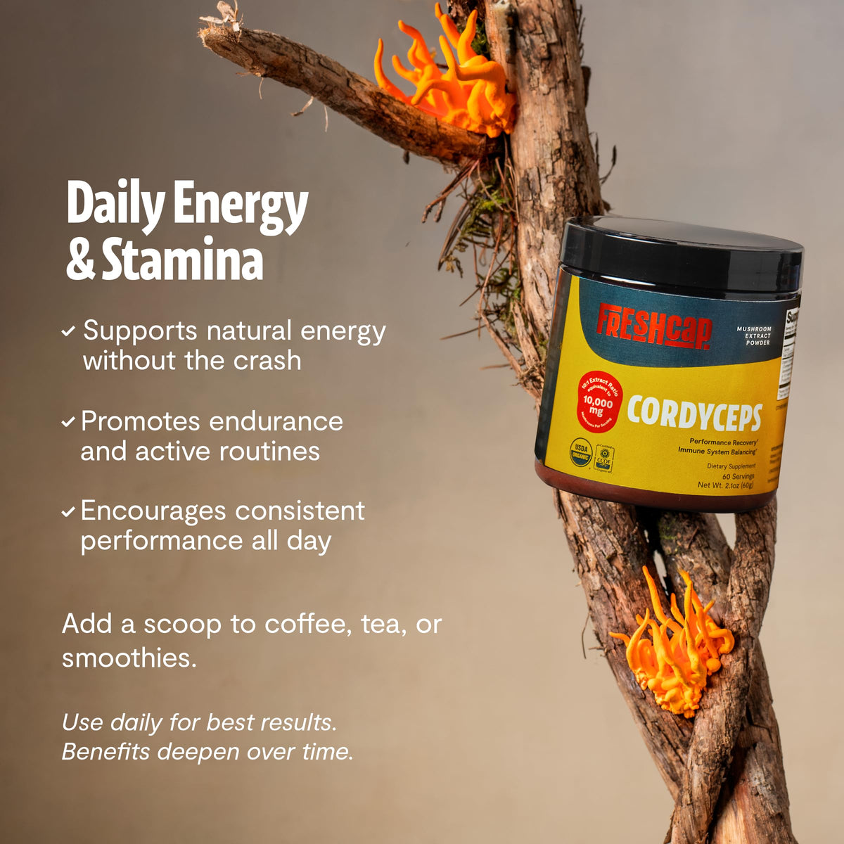 Poudre de cordyceps bio FreshCap dans un bol
