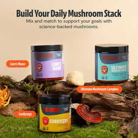 Poudre de cordyceps bio FreshCap dans un shaker