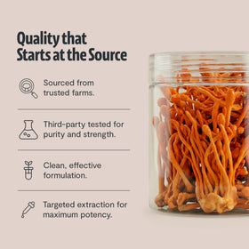 Poudre de cordyceps bio FreshCap sur une table en bois