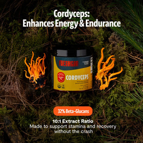 Poudre de cordyceps FreshCap avec cuillère doseuse