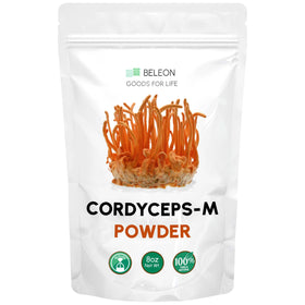 Poudre de Cordyceps Militaris 236g vue de face