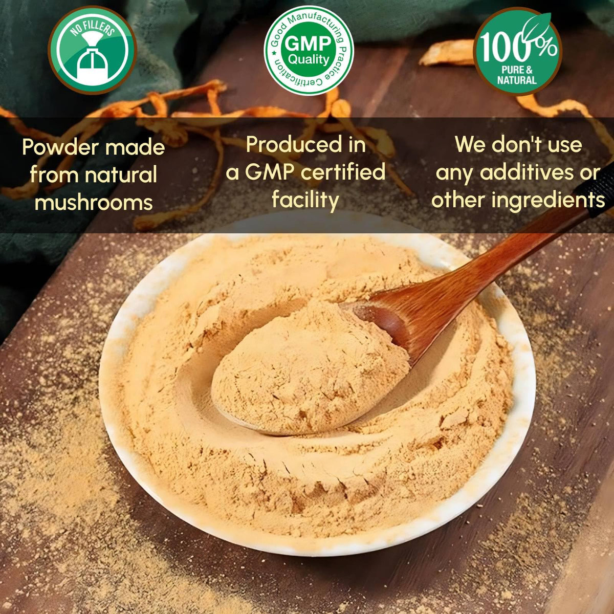 Poudre de Cordyceps Militaris dans une cuillère