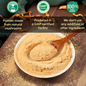 Poudre de Cordyceps Militaris dans une cuillère