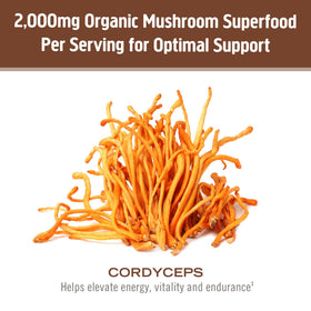 Poudre de Cordyceps OM MUSHROOM SUPERFOOD dans un café