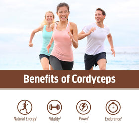 Poudre de Cordyceps OM MUSHROOM SUPERFOOD mélangée dans un smoothie