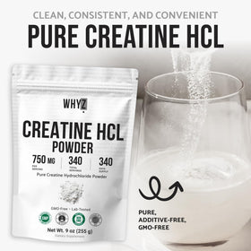 Poudre de créatine HCL WHYZ dans un shaker