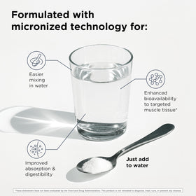 Poudre de créatine monohydrate Designs for Health 5g avec cuillère doseuse
