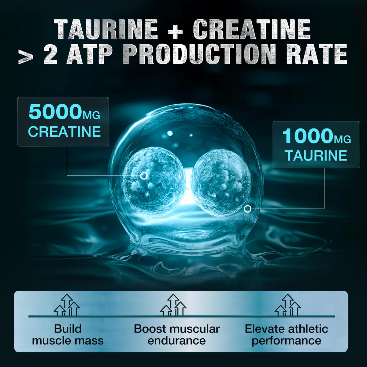 Poudre de créatine monohydrate DRFOSTER sur une table
