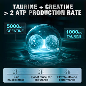 Poudre de créatine monohydrate DRFOSTER sur une table
