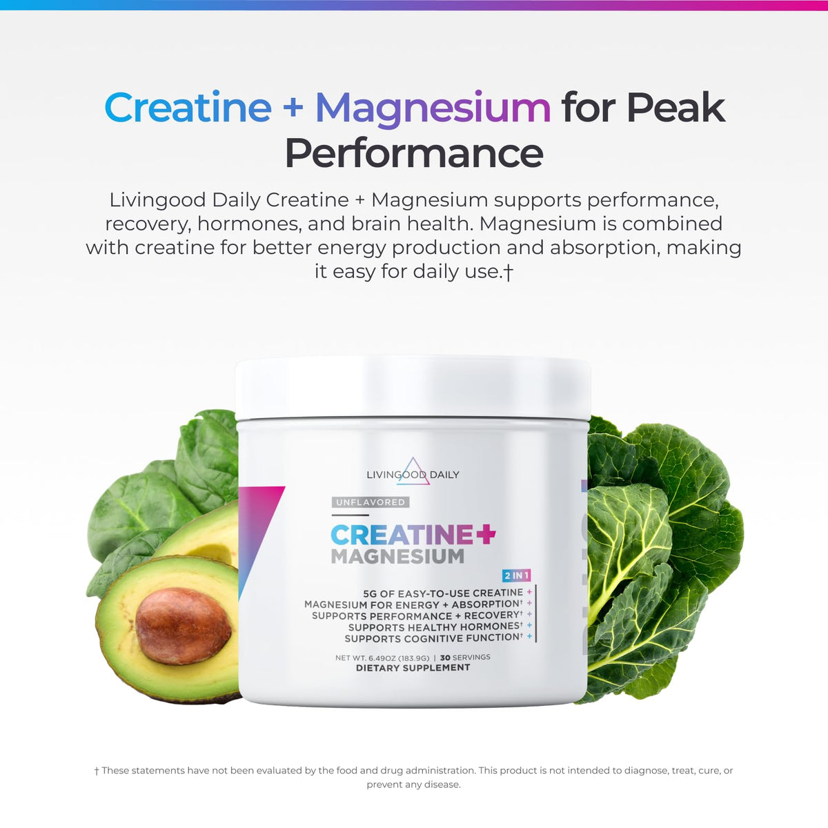 Poudre de créatine monohydrate Livingood Daily 240g avec cuillère