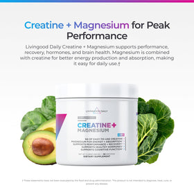 Poudre de créatine monohydrate Livingood Daily 240g avec cuillère