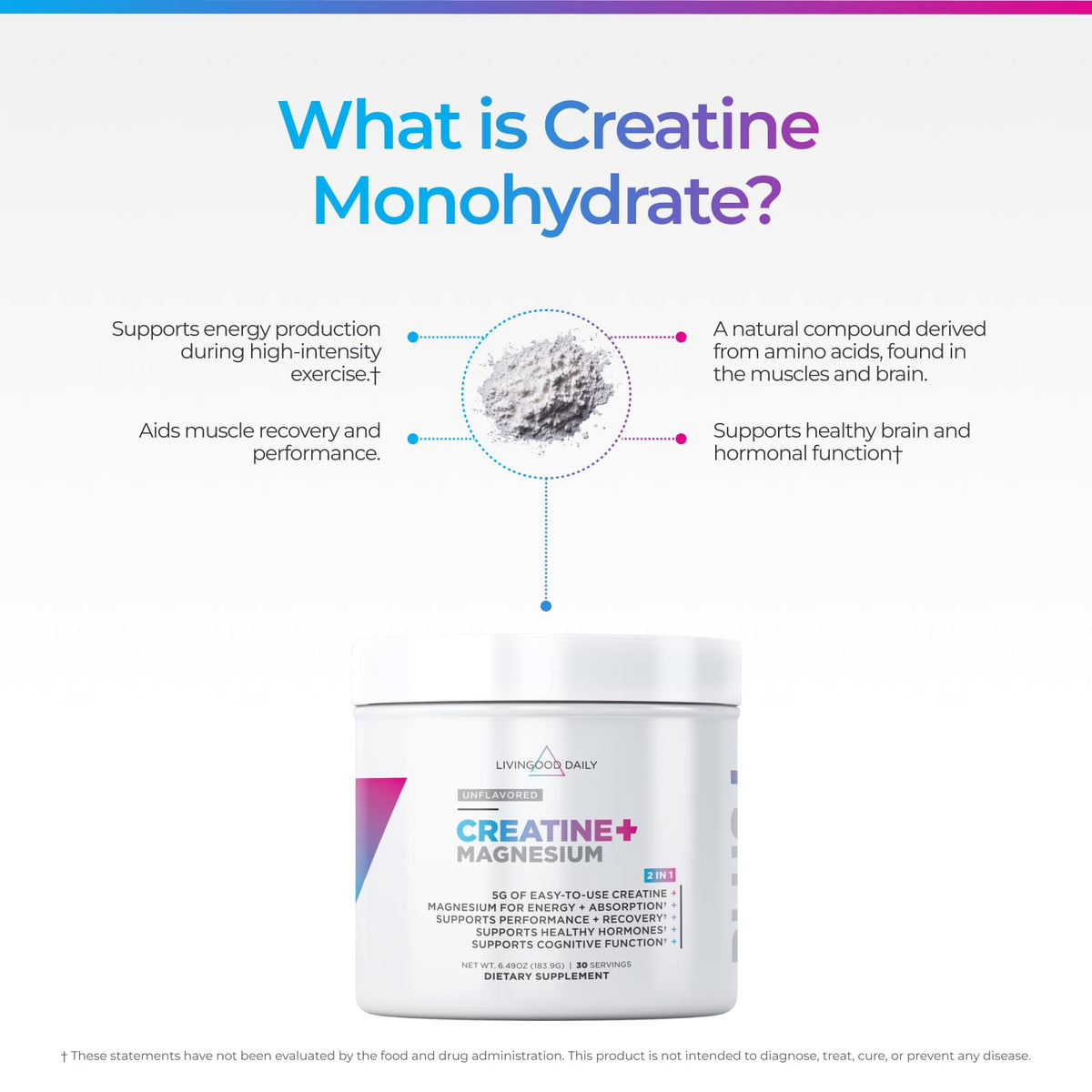 Poudre de créatine monohydrate Livingood Daily 240g dans un bol