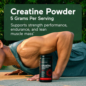 Poudre de créatine monohydrate SMARTERNUTRITION en portion dans une cuillère