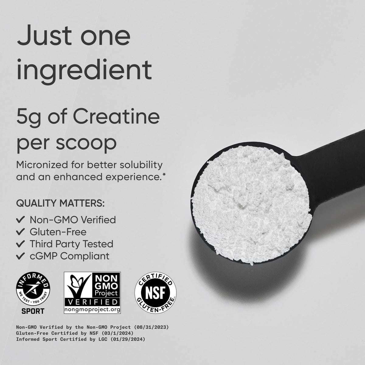Poudre de créatine monohydrate Sports Research 5g Non Aromatisée avec cuillère doseuse