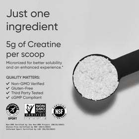 Poudre de créatine monohydrate Sports Research 5g Non Aromatisée avec cuillère doseuse