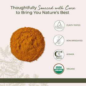 Poudre de Curcuma Bio Starwest Botanicals en cuisine