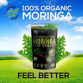Poudre de feuille de Moringa HERBALS en cuillère
