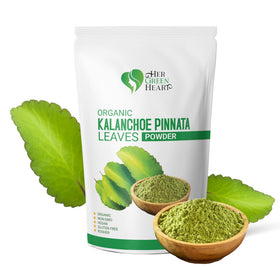 Poudre de feuilles de Kalanchoe Pinnata 113g vue avant avec sachet refermable