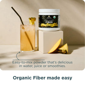 Poudre de Fibre d'Acacia Bio dans un bol avec des fruits