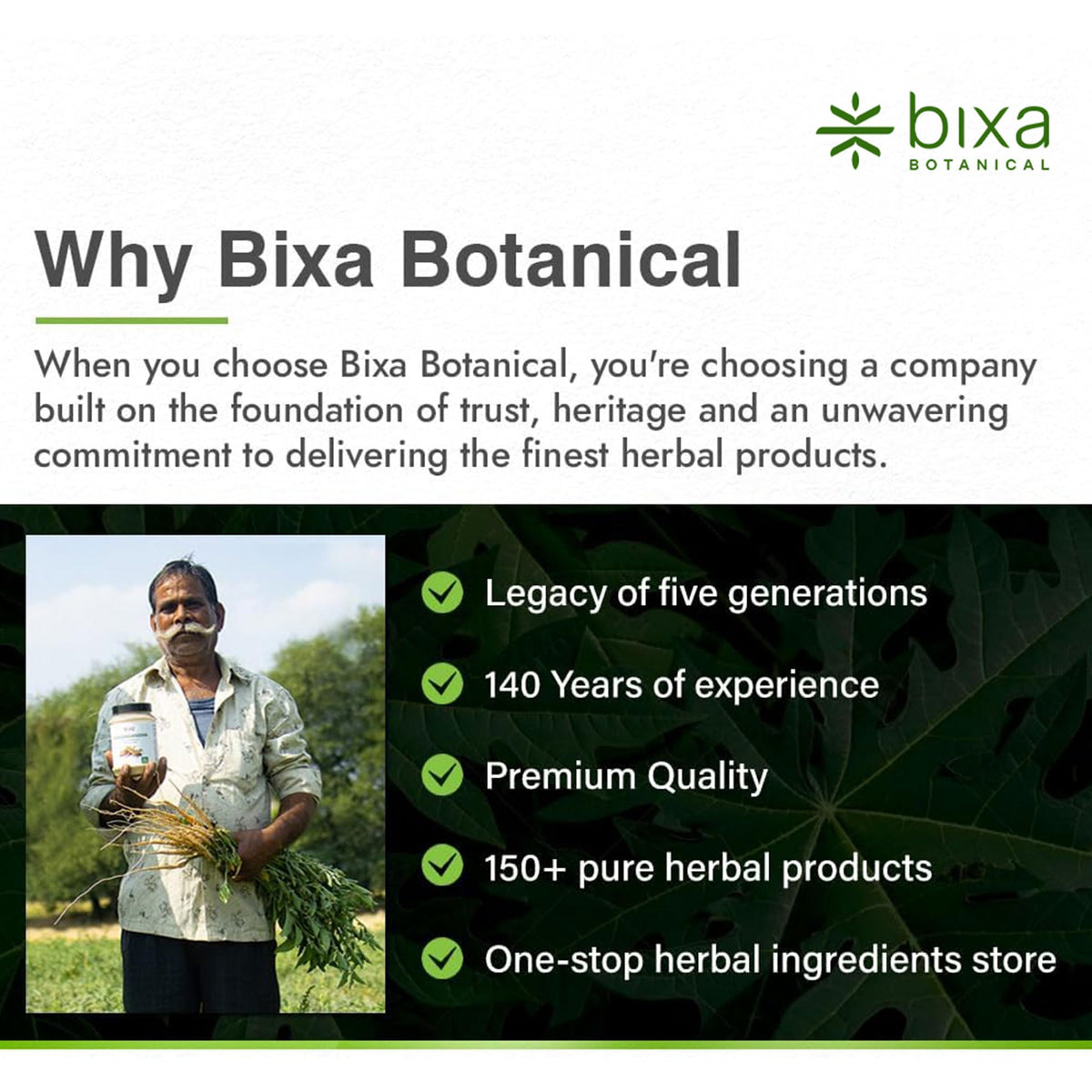 Poudre de galanga supérieure bixa BOTANICAL sur une cuillère