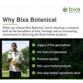 Poudre de galanga supérieure bixa BOTANICAL sur une cuillère