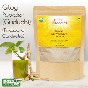 Poudre de Giloy bio Darsa Organics 240g dans un bol