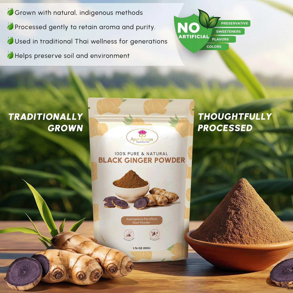 Poudre de gingembre noir MOUNTAIN ESSENTIALS dans un pot en verre