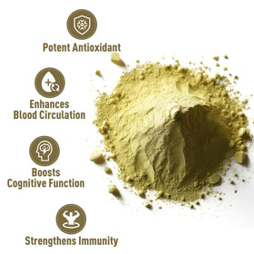 Poudre de Ginkgo Biloba 'D ORGANIC dans un bol